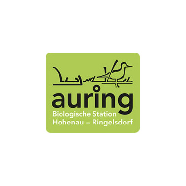 Logo Auring